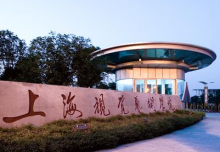 上海视觉艺术学院2020年录取最低分数线